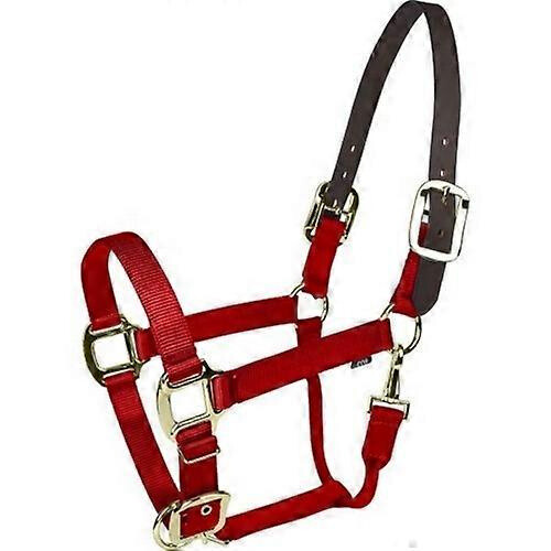 Gatsby Gold Nylon Breakaway Halfter, COB, Rot
