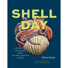 Shell Day by Helen Scales Hardcover Book