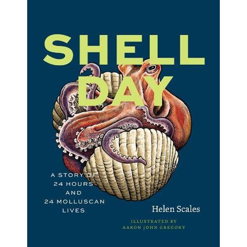 Shell Day by Helen Scales Hardcover Book