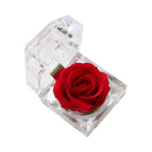 1 Stück konservierte Blume Eternity Rose – Nie verwelkende Rose – Geschenk zum Valentinstag, Geburtstag und Jahrestag – mi