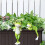 statuette di rana in resina versatile per micro paesaggi, giardino e casa 2