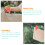 3St Handige Stoelclips Van Plastic Met Watermeloen Design 6