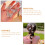 10St Haarspeldjes Wit Plastic Voor Vrouwen Details 5