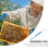 Bee Grafting Needle Praktisch Bijenhouderij Hulpmiddel 4