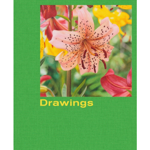 Mathew Cerletty Drawings Hardcover Book