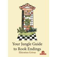 Your Jungle Guide to Rook Endings by Grivas Efstratios Paperback Book