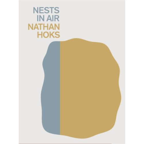 Nests in Air by Nathan Hoks Paperback Book