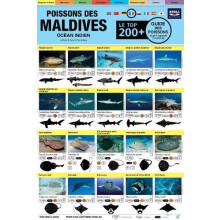 Maldives Guide Des Poissons by Tim Godfrey Other Book