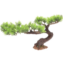 Simulatie Mini Boom Model Voor Huis En Decor