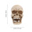 2St Skull Design Kabel Winder Sleutel Opbergdoos Multi 2