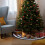 1St Witte Kerstboomrok Fluweel Kerstdecoratie En Accessoire 8