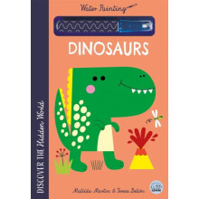Hidden World Water Painting Dinosaurs by Matilda Martin Other Book