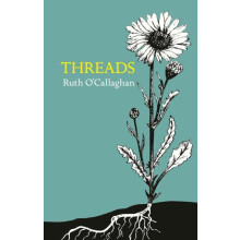 Threads by Ruth OCallaghan Paperback Book