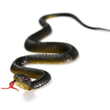 45cm Realistic Rubber Snake Toy Scary for Pranks, Lifelike Fake Snake , Garden Yard Bird Expulsion , Party Gags