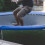 1St Trampoline Springmat Uv-Bestendig En Duurzaam 9
