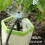 360 Degree Rotating Garden Sprinkler with Emitters for Efficient Irrigation 1