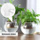 1Set Plastic Net Cups Voor Gezonde En Hydroponics 7