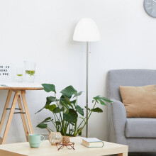 1Creatieve Glazen Lampenkap Wit Eenvoudig Te Installeren
