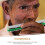 1ABS 24-Gats Mondharmonica Voor Beginners En Gevorderden Multi Kleur 1