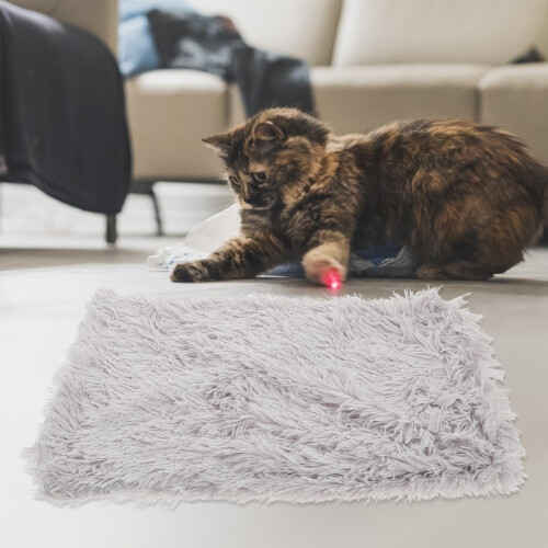 1St Comfortabele Huisdier Mat En Winter