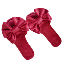 1Paar Dames Bowknot Slippers Antislip En Materiaal