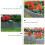 20St Plastic Tuinafscheiding Grijs PP Koppelbaar Border 6