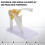 1St Menselijk Skelet Schoudermodel Van PVC Voor Training 5