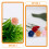 10St Miniatuur Rozen Decor Voor DIY Project 5