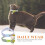 2St Verstelbare Katoenen Kattenhalsband Met Hanger 1