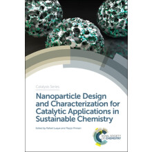 Nanoparticle Design and Characterization for Catalytic Applications in