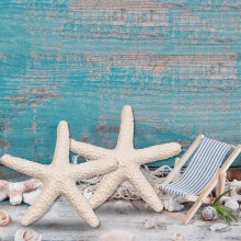 15 Pieces creamy-white Pencil Finger Starfish for Wedding Dcor