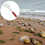 Stainless Steel Clamming Rake for Shell Harvesting, Comfortable Handle Beach Shellfish Digging Tool 2
