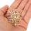 Water Small Stones for Succulent Planters 1 Bag Decorative Rocks 3