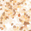 Water Small Stones for Succulent Planters 1 Bag Decorative Rocks 4