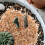 Water Small Stones for Succulent Planters 1 Bag Decorative Rocks 5