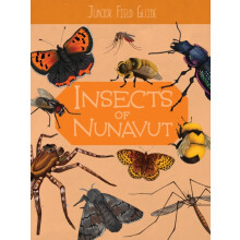 Junior Field Guide Insects of Nunavut English Edition by Jordan Hoffma