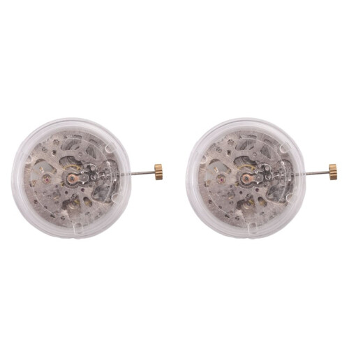 2X Radiation- Pendulum Skeleton Movement Pendulum Adjustment Radial Pattern Automatic Watch Movement 2001