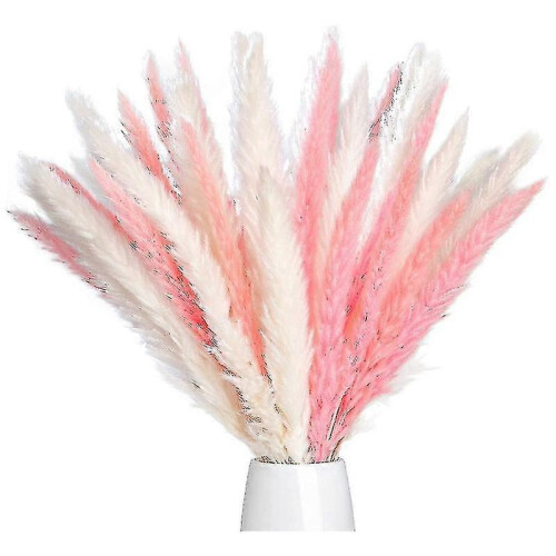40 Pcs 17" Dried Pampas Grass Bundle for Flower Arrangements