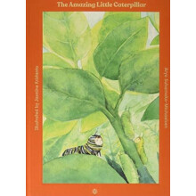 The Amazing Little Caterpillar by Aryo Suharnoko Michaelsen Hardcover