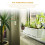 2Stk Moderner Air Plant Display Hänger Schwarzem Metall 6