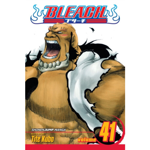 Bleach Vol. 41 by Tite Kubo Paperback Book