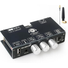 TW100U 100W Mono Amplifier Board, TPA3116D2 Digital Power Amp Module,Supports TWS-Wireless Pairing, 5.3, AUX
