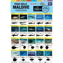 Maldive Guida Dei Pesci by Tim Godfrey Other Book