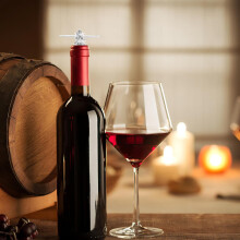 2 Stück flugzeugförmige Weinflaschenverschlüsse für Wein- und Olivenölflaschen, wiederverwendbar aus Zinklegierung und Silikon
