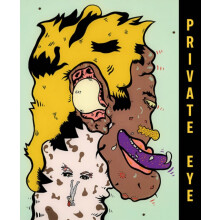 Private Eye The Imagist Impulse in Chicago Art Hardcover Book