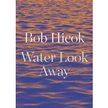 Water Look Away by Bob Hicok Paperback Book