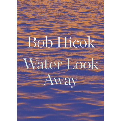 Water Look Away by Bob Hicok Paperback Book