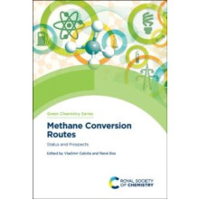 Methane Conversion Routes Status and Prospects Hardcover Book