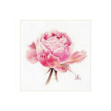 Kit de point de croix - Alisa 2-53 "Roses aquarelle Rose exquise" - 26x24 cm - Toile AĂŻda 16ct blanc - 26 couleurs
