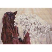 Kit point de croix - BU5010 Le couple parfait - Aida 16ct blanc - 51 couleurs - 45x32 cm
